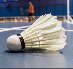 Badminton Kamerik